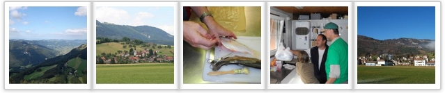 region-solothurn-tourismus060